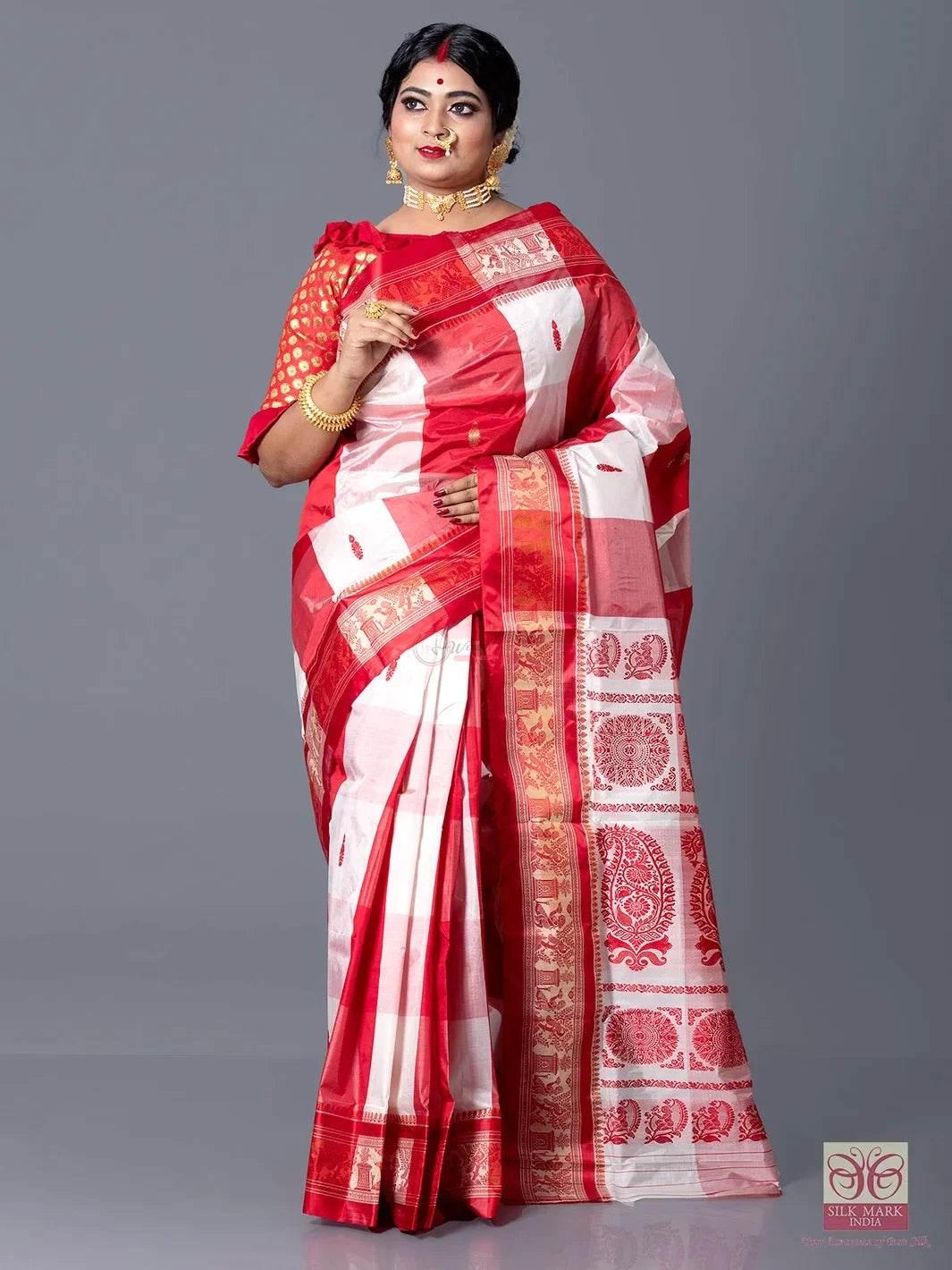 Multi Color Allover Jacquard 2D Garad Silk Saree - WeaversIndia