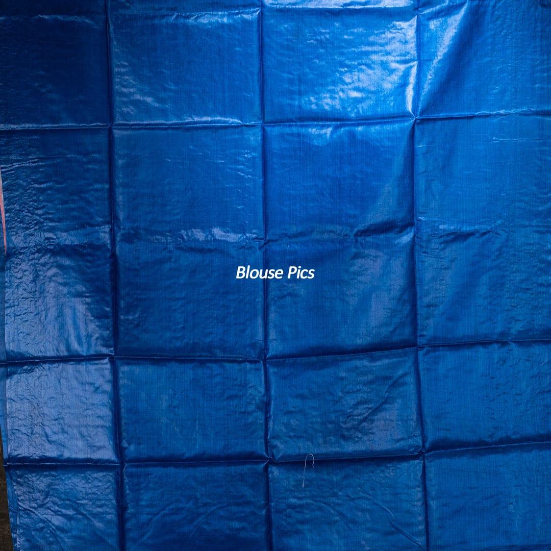 Wonderful Blue Embroidered Tussar Silk Saree - WeaversIndia